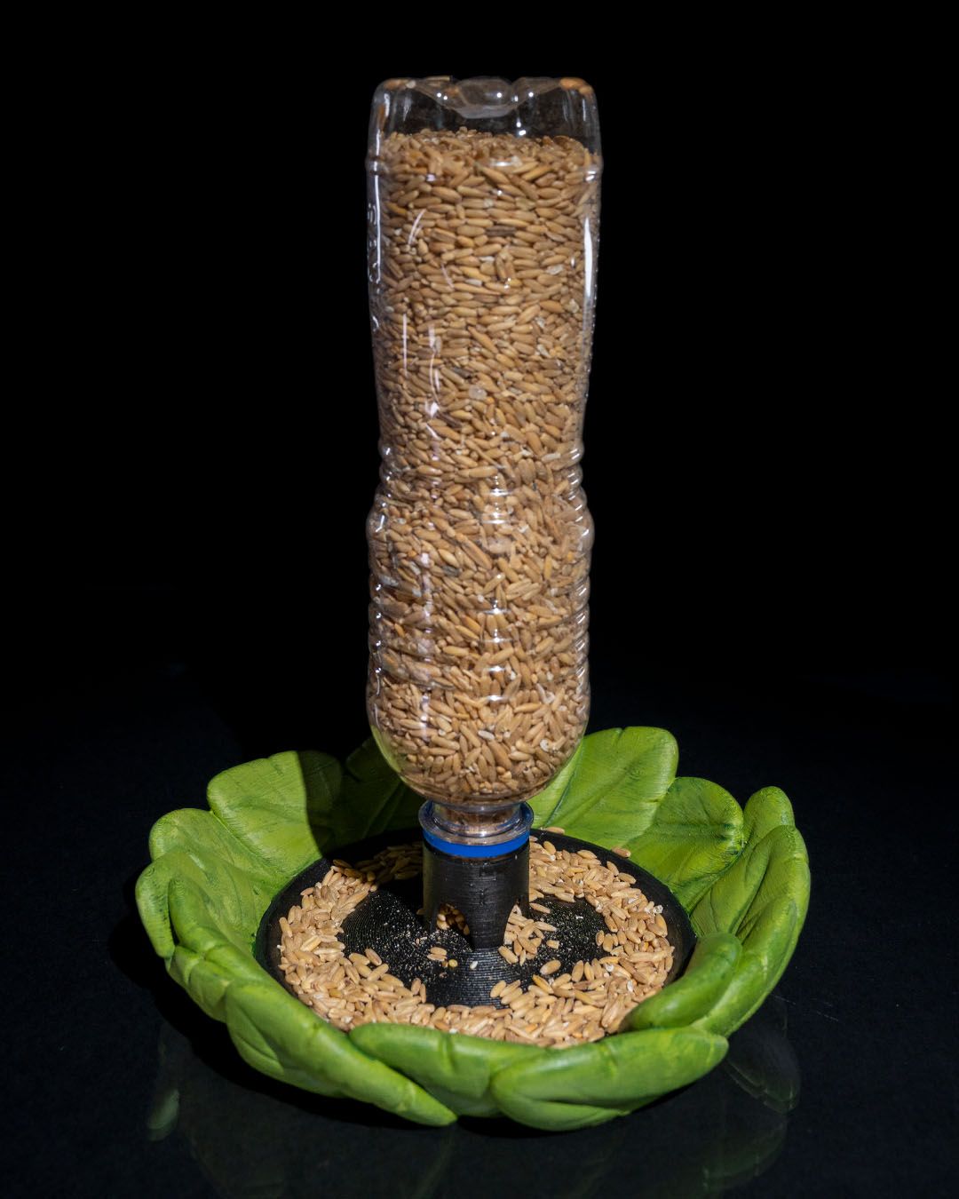 Bottle Seed Bird feeder