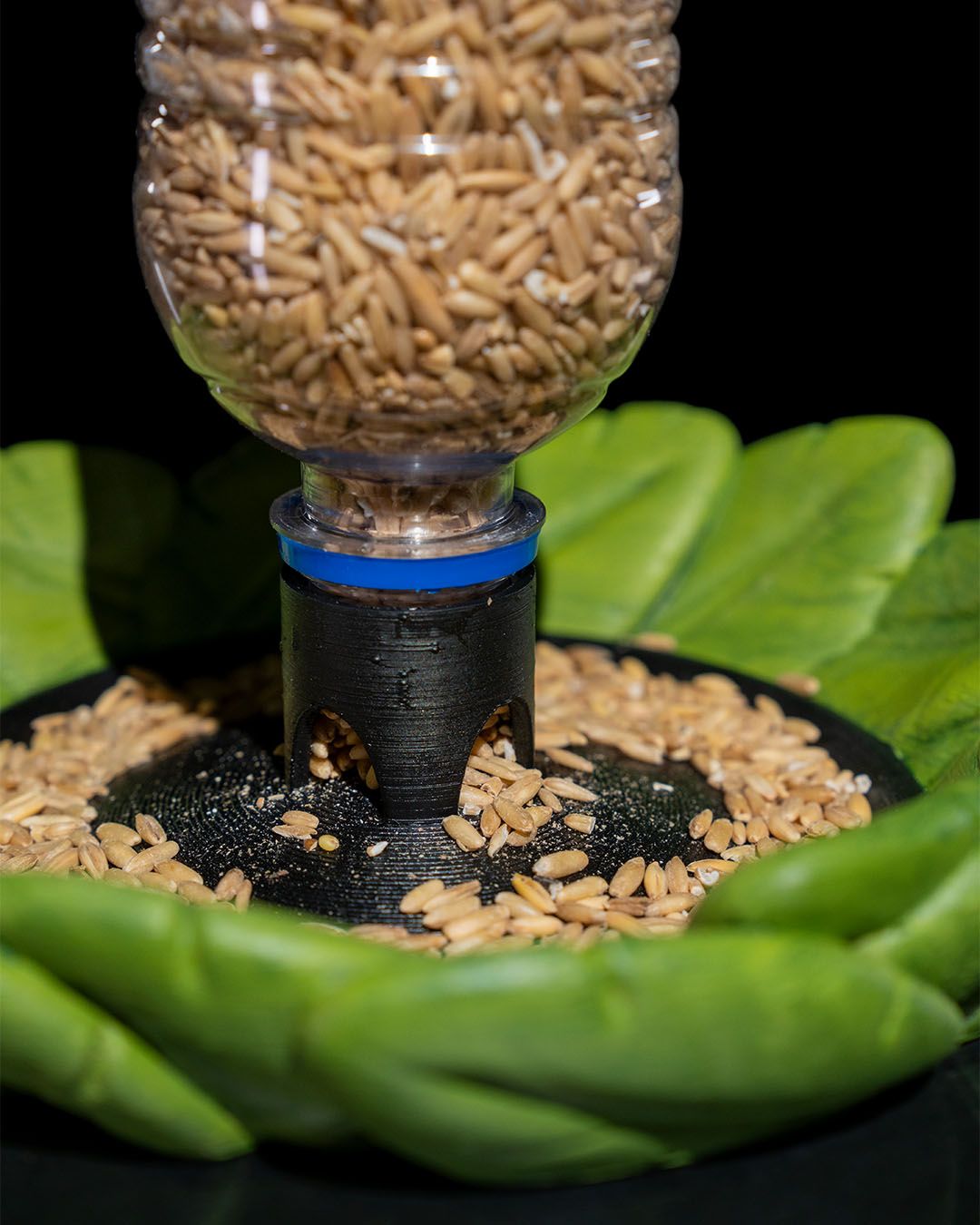 Bottle Seed Bird feeder