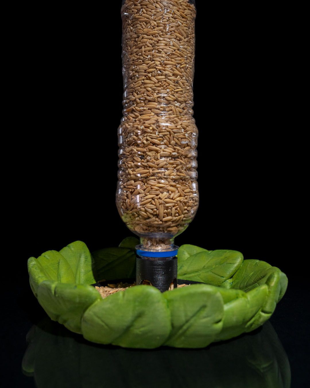 Bottle Seed Bird feeder