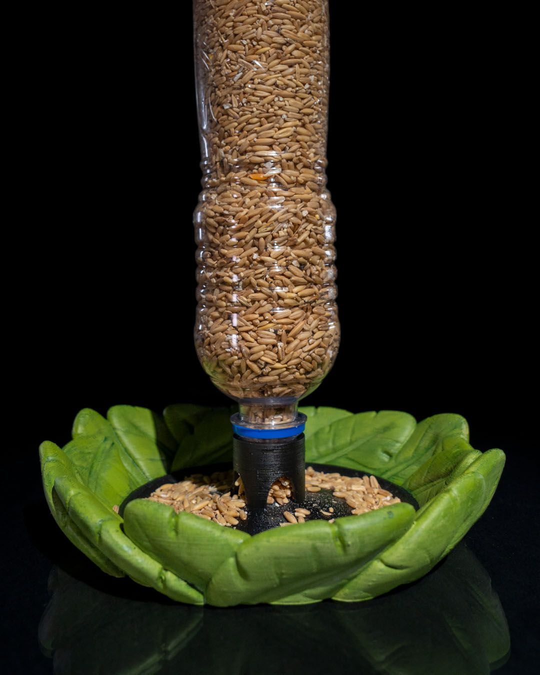 Bottle Seed Bird feeder