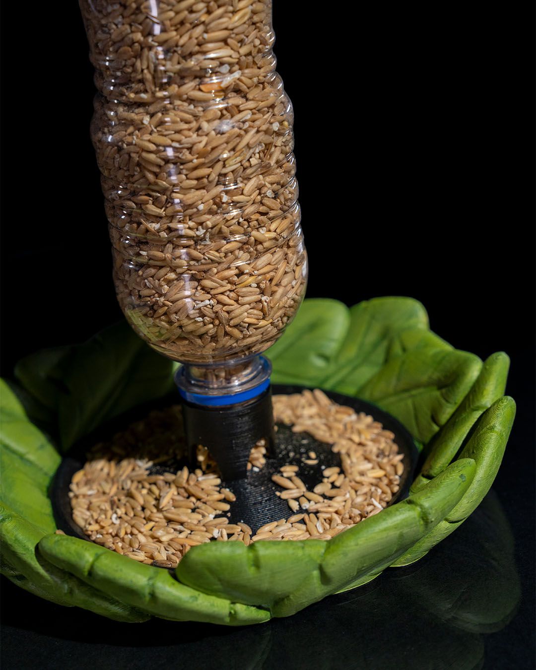 Bottle Seed Bird feeder