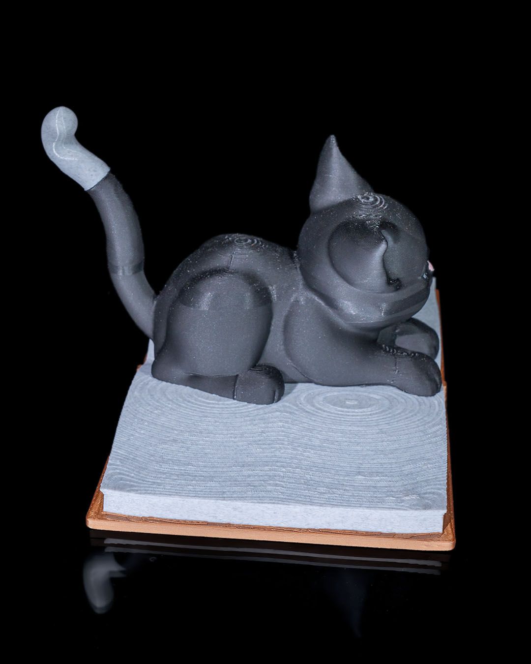 Black Cat Book Accent