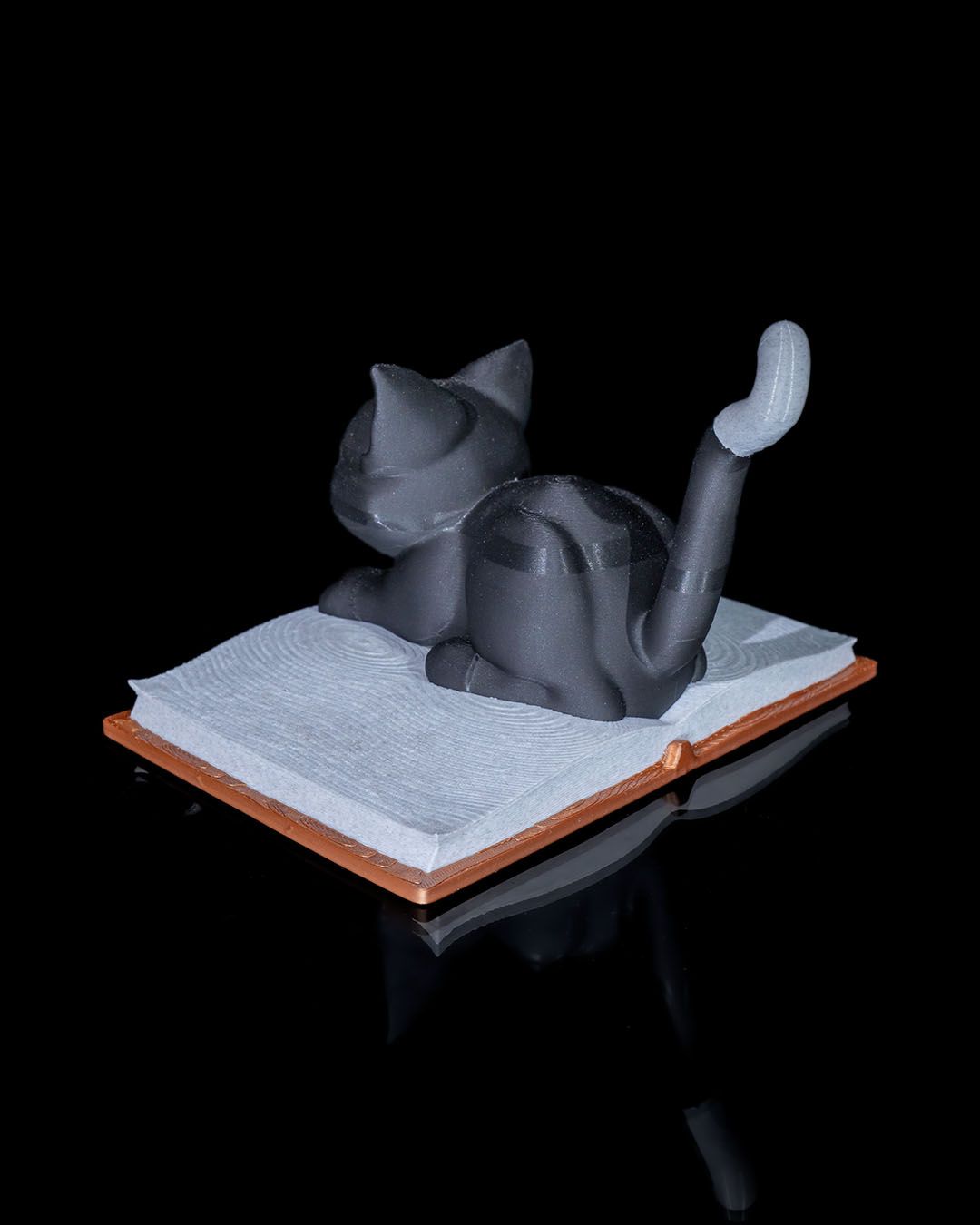 Black Cat Book Accent