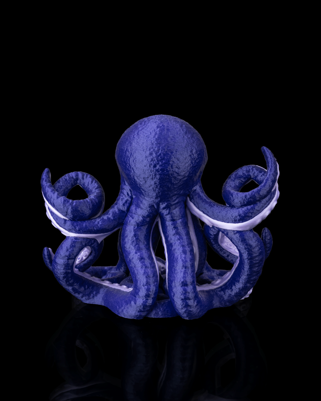 Kraken Dice Holder