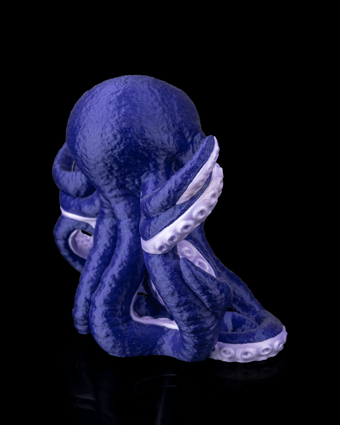 Kraken Dice Holder