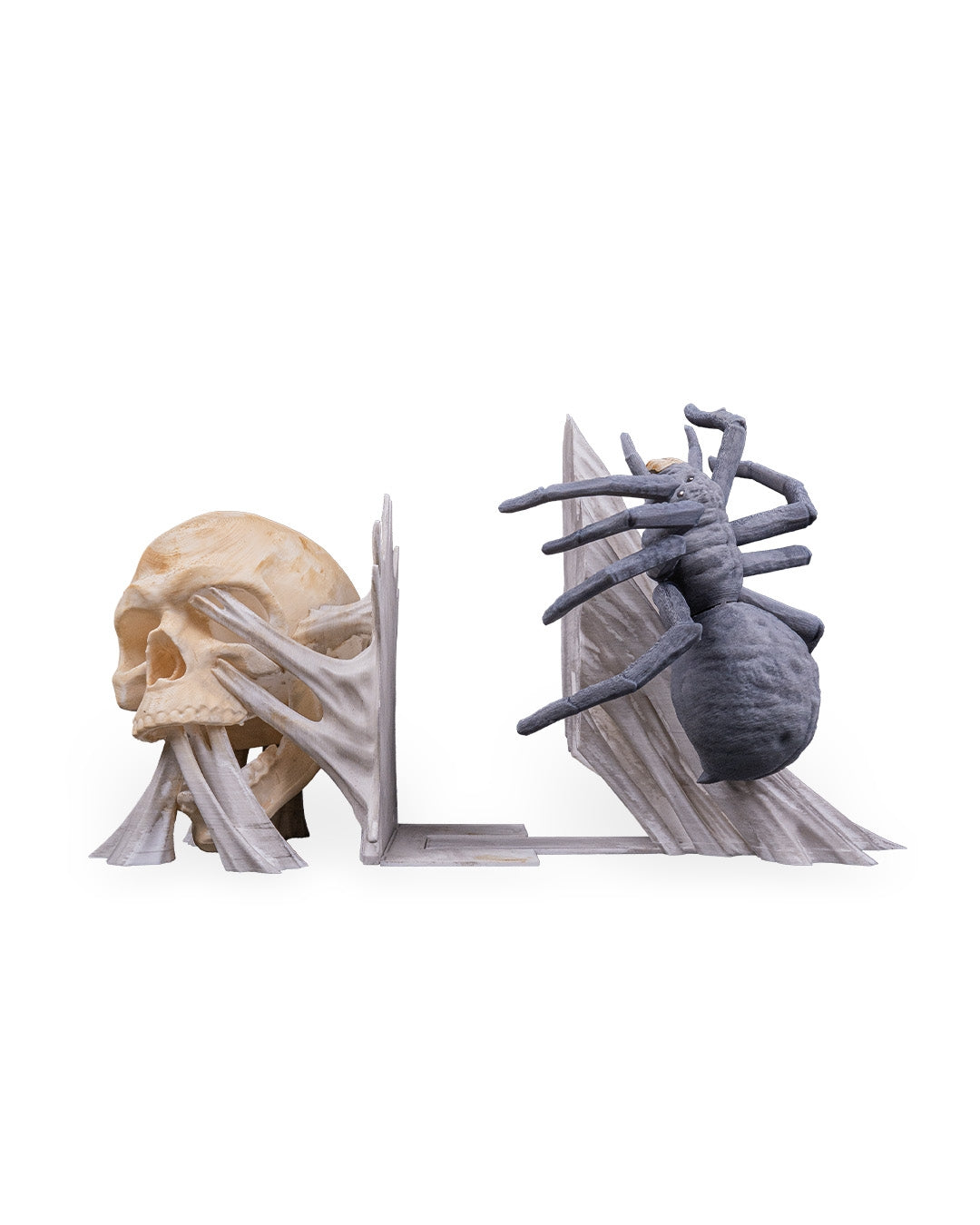 Skull & Spider Book Ends
