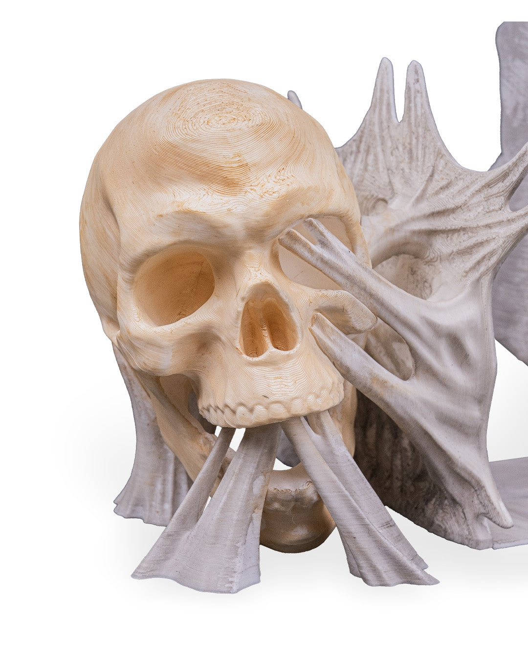 Skull & Spider Book Ends