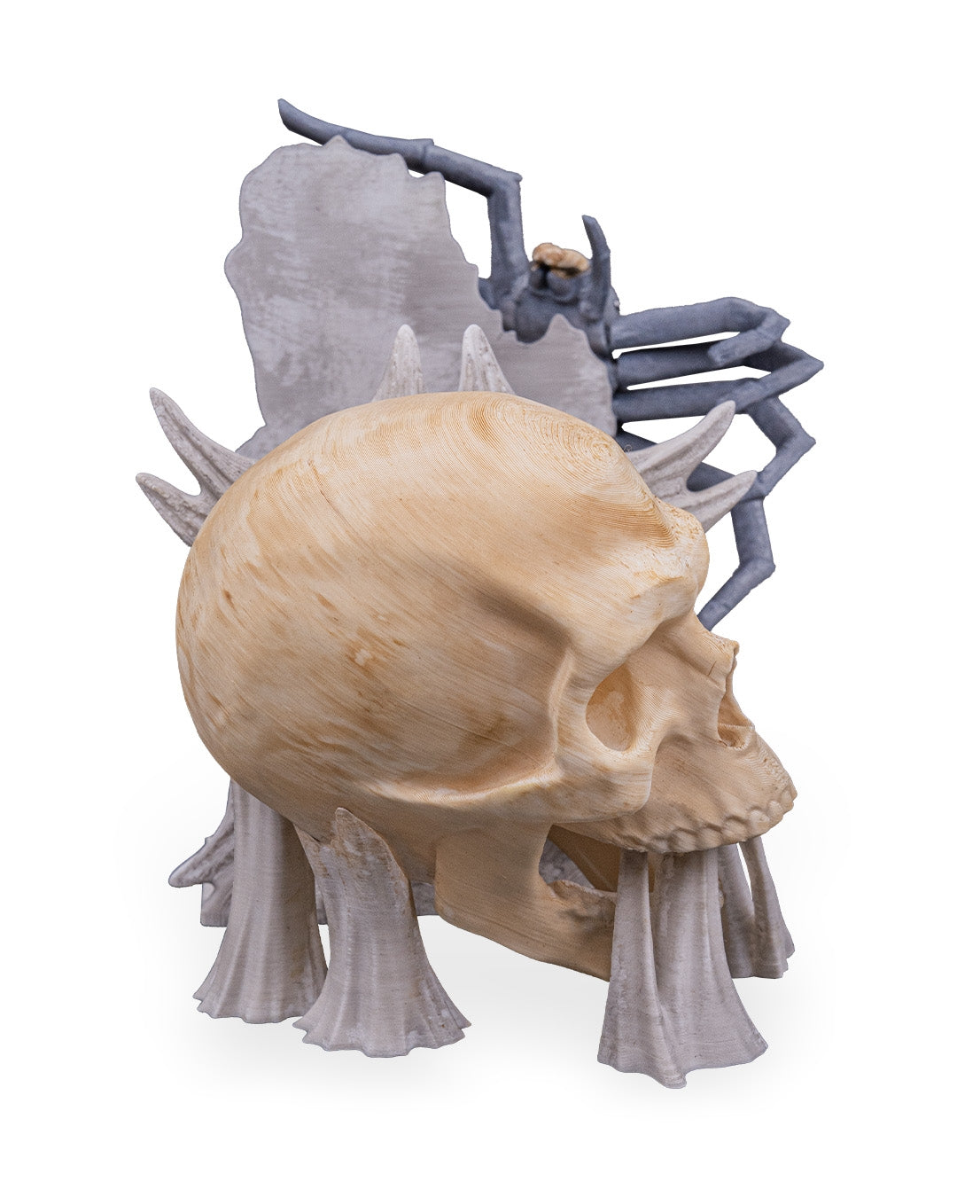 Skull & Spider Book Ends