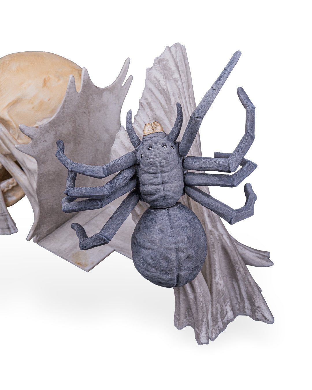 Skull & Spider Book Ends