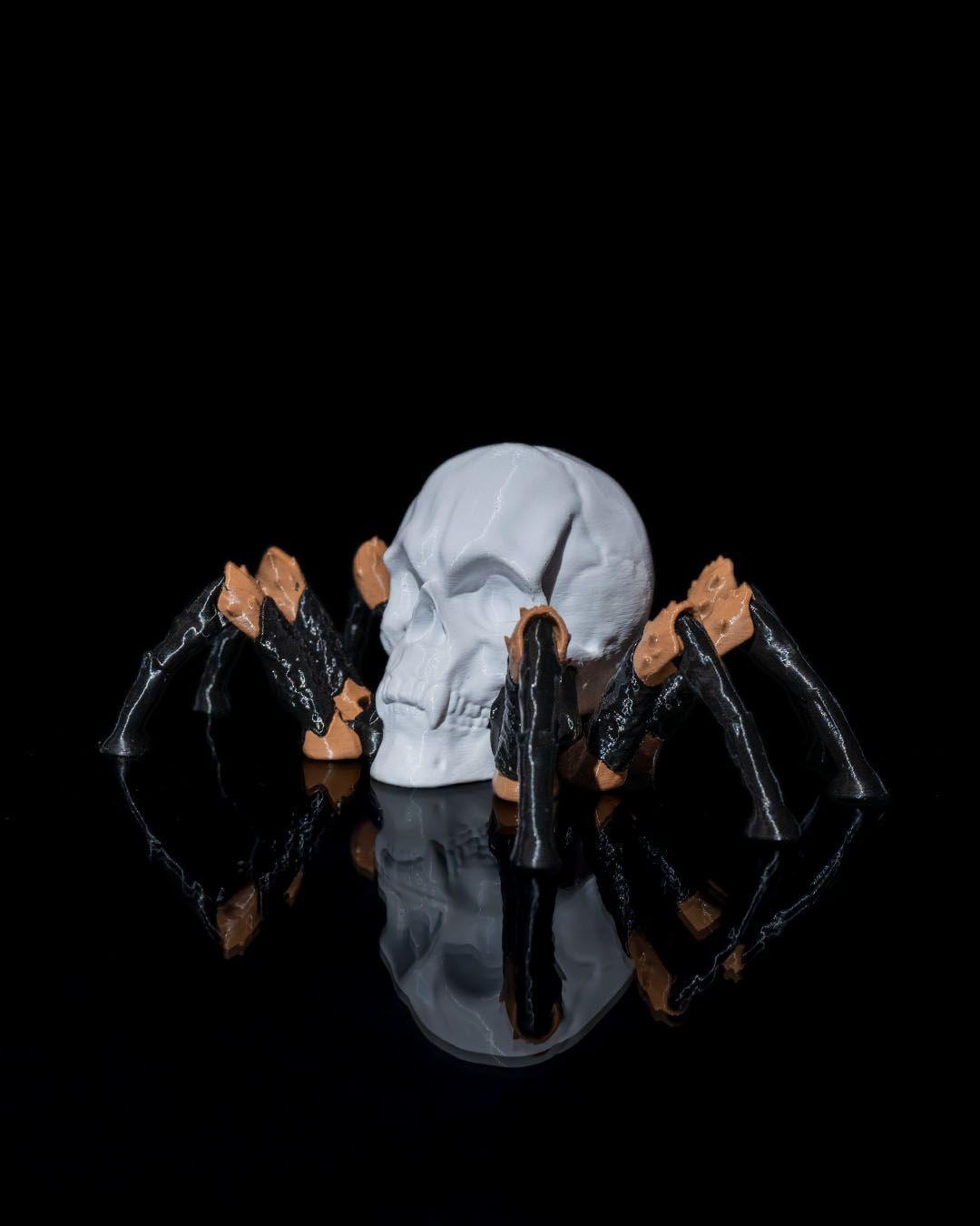 Skull Spider Gray Shiver, Creepy Spider Skull Model, Gothic Halloween Decor, Articulated Spider with Skull Head | Horror TTRPG Figurine Gift