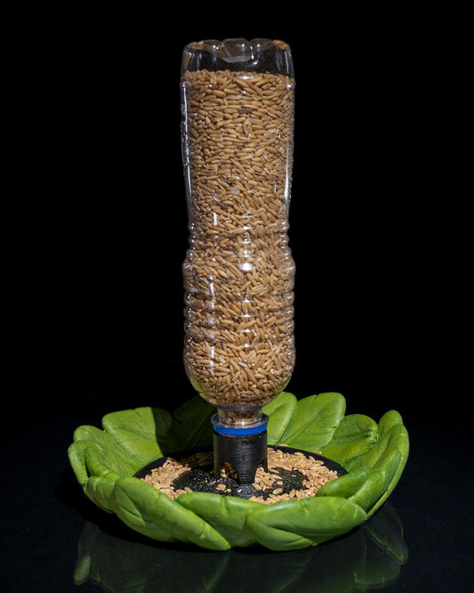 Bottle Seed Bird feeder