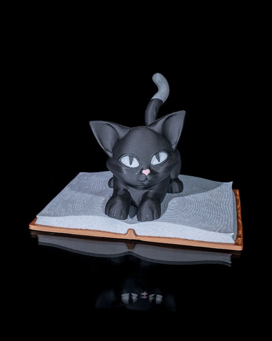 Black Cat Book Accent