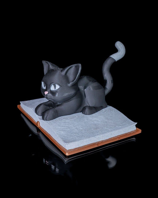 Black Cat Book Accent