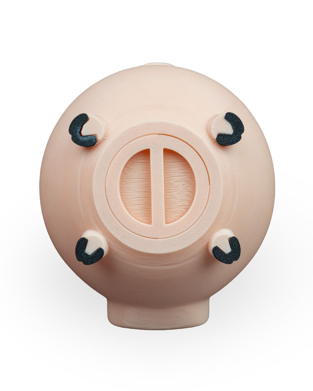 Piggy Coin Bank