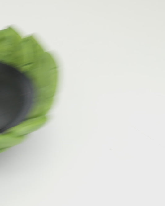 Bottle Seed Bird feeder